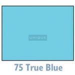 Savage Widetone Seamless Background Paper - 107in.x50yds. - 75 True Blue 0