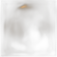 Savage Background 53x36 Mocha 0
