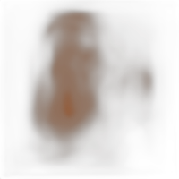 Savage 86X36 Cocoa Widetone Background 0