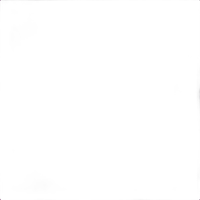 Savage Background 107x36 Plum 0