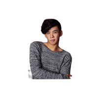 Savage Background 107x36 Plum 1