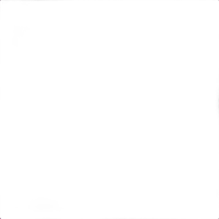 Savage Background 53x36 Plum 0