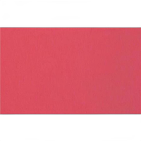 Savage Widetone Seamless Background Paper - 107in.x50yds. - 92 Flamingo 0