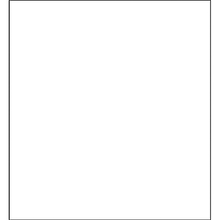 Savage 10x10 Infinity Lint Free ProCloth Background (ProWhite)