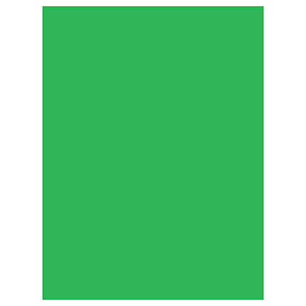 Savage 10x10 Infinity Lint Free ProCloth (ProChroma Green)