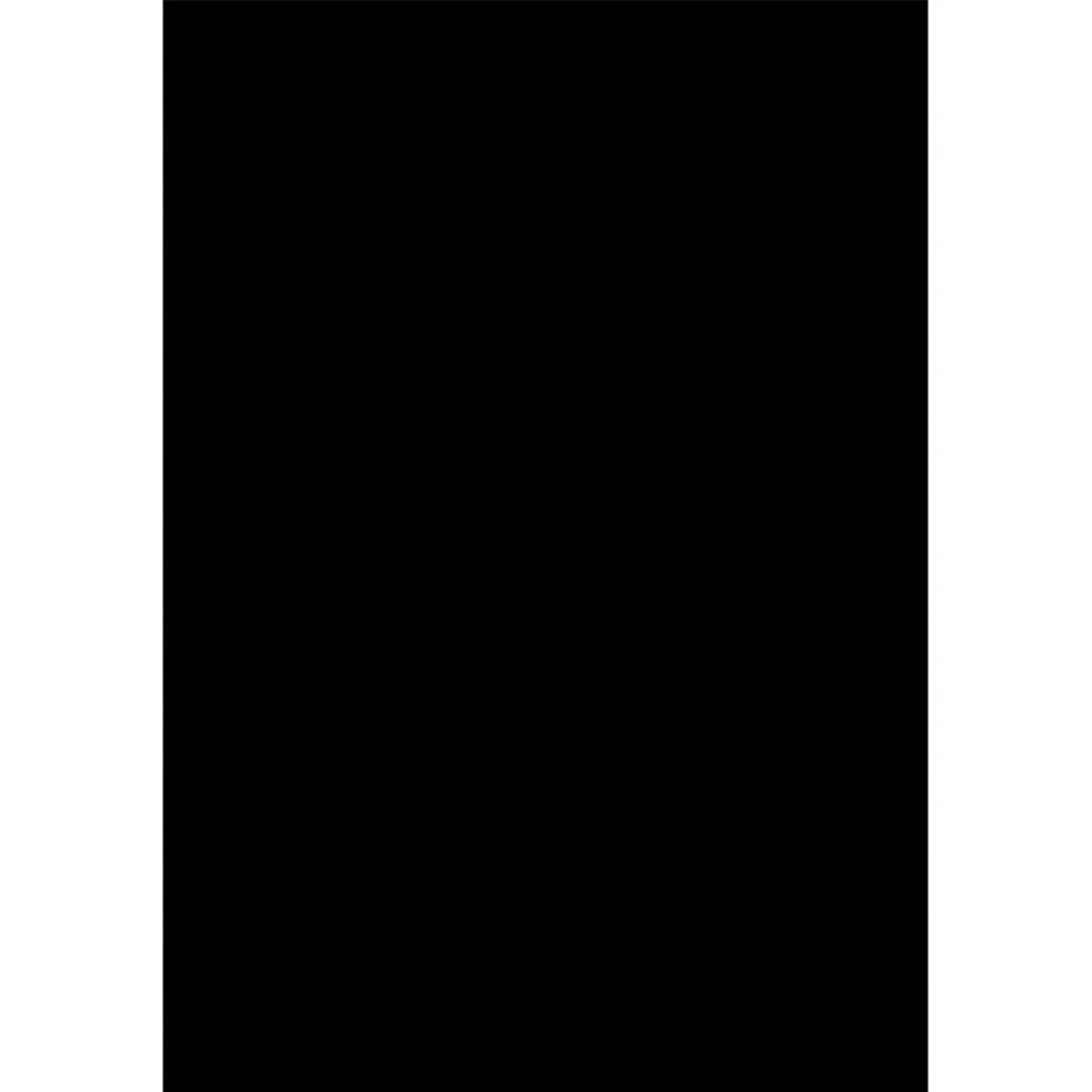 Savage Accent Solid Muslin Background 10x12 - Black