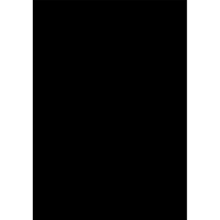 Savage Accent Solid Muslin Background 10x24 - Black