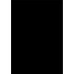 Savage Accent Solid Muslin Background 10x24 - Black 0