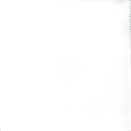 Savage Infinity Vinyl Background 9 x 10 Chroma Green
