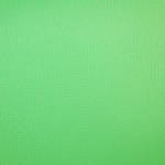 Savage Infinity Vinyl Background 10 x 10 Chroma Green 0