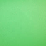 Savage Infinity Vinyl Background 10 x 20 Chroma Green 0