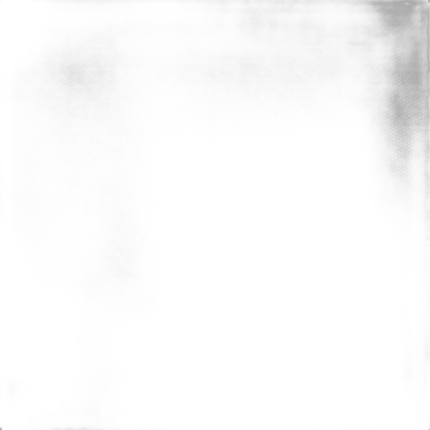 Savage Infinity Vinyl Background 9 x 10 Photo Gray