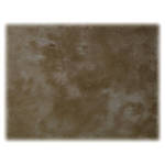 Savage 5 x 6 ft Collapsible Earth Tone with Stand 2