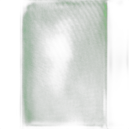 Savage 5x12 Infinity Vinyl Background (Chroma Green)
