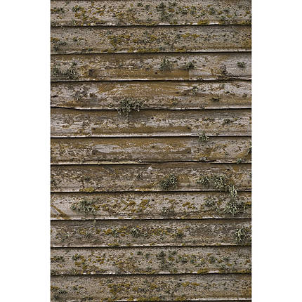 Savage 5x7 Distressed Wood Wall Printed Vinyl Background