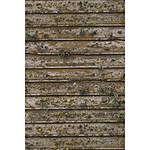Savage 5x7 Distressed Wood Wall Printed Vinyl Background 0