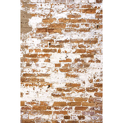 Savage 5x7 Weathered Brick Wall Printed Vinyl Background