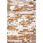 Savage 5x7 Weathered Brick Wall Printed Vinyl Background 0