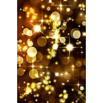 Savage 5x7 Golden Party Lights Printed Vinyl Background 0