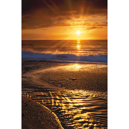 Savage 5x7 Beach Sunset Printed Vinyl Background