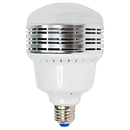 Savage LED Studio Lamp (30W, 120V)