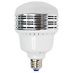 Savage LED Studio Lamp (30W, 120V) 0
