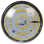 Savage 50W Bi-Color Bulb Only 2