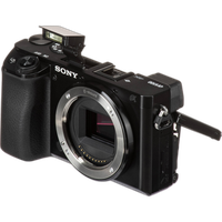 Sony Alpha 6100 APS-C Mirrorless Camera with 16-50mm II Lens 2