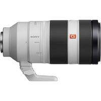 Sony FE 100-400mm f/4.5-5.6 GM OSS Lens 2