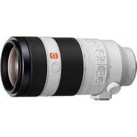 Sony FE 100-400mm f/4.5-5.6 GM OSS Lens 4