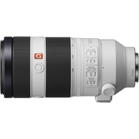 Sony FE 100-400mm f/4.5-5.6 GM OSS Lens 5