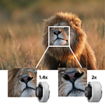 Sony FE 600mm F4.0 GM OSS Lens 7