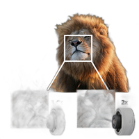 Sony FE 600mm F4.0 GM OSS Lens 7