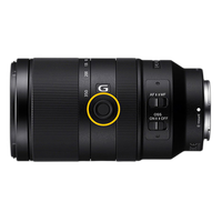 Sony E 70-350mm f/4.5-6.3 G OSS Lens 6