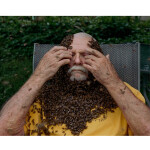 Rivers Dream - Curran Hatleberg (First Printing) 2