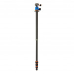 3 Legged Thing Punks Billy  and  AirHed Neo 5