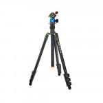 3 Legged Thing Punks Patti  and  AirHed Mini 0