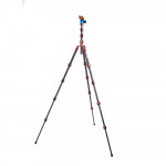 3 Legged Thing Pro 2.0 Albert  and  AirHed Pro Bronze 3