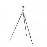 3 Legged Thing Pro 2.0 Albert  and  AirHed Pro Grey 3