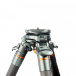 3 Legged Thing Legends Mike 3