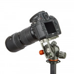 3 Legged Thing ELLIE L Bracket Grey 5