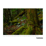 Tamron B070 17-70mm f/2.8 Di III-A VC RXD Lens for FUJIFILM 5