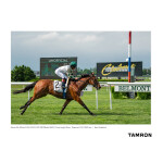 Tamron A067 50-400mm f/4.5-6.3 Di III VC VXD Lens (Sony E) 6