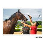 Tamron A067 50-400mm f/4.5-6.3 Di III VC VXD Lens (Sony E) 7