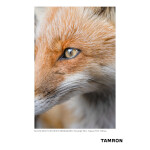 Tamron A067 50-400mm f/4.5-6.3 Di III VC VXD Lens (Sony E) 9