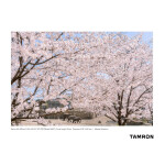 Tamron A067 50-400mm f/4.5-6.3 Di III VC VXD Lens (Sony E) 10