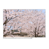 Tamron A067 50-400mm f/4.5-6.3 Di III VC VXD Lens (Sony E) 10