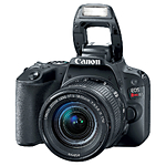 Used Canon SL2 w/ 18-55mm STM - Excellent 1