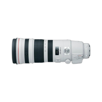 Used Canon EF 200-400mm f/4L IS USM Extender 1.4X - Excellent 1
