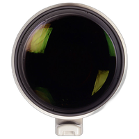 Used Canon 800mm f/5.6 L IS USM w/ hood and case - Excellent 5